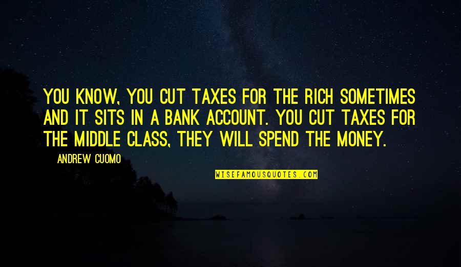 Nutrasweet Diet Quotes By Andrew Cuomo: You know, you cut taxes for the rich