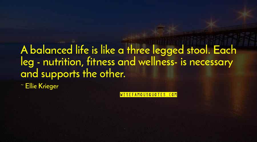 Nutrition And Fitness Quotes By Ellie Krieger: A balanced life is like a three legged