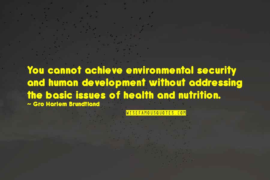 Nutrition Health Quotes By Gro Harlem Brundtland: You cannot achieve environmental security and human development