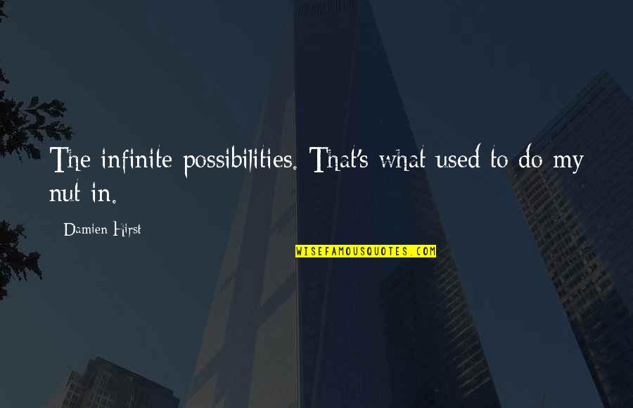 Nuts Quotes By Damien Hirst: The infinite possibilities. That's what used to do