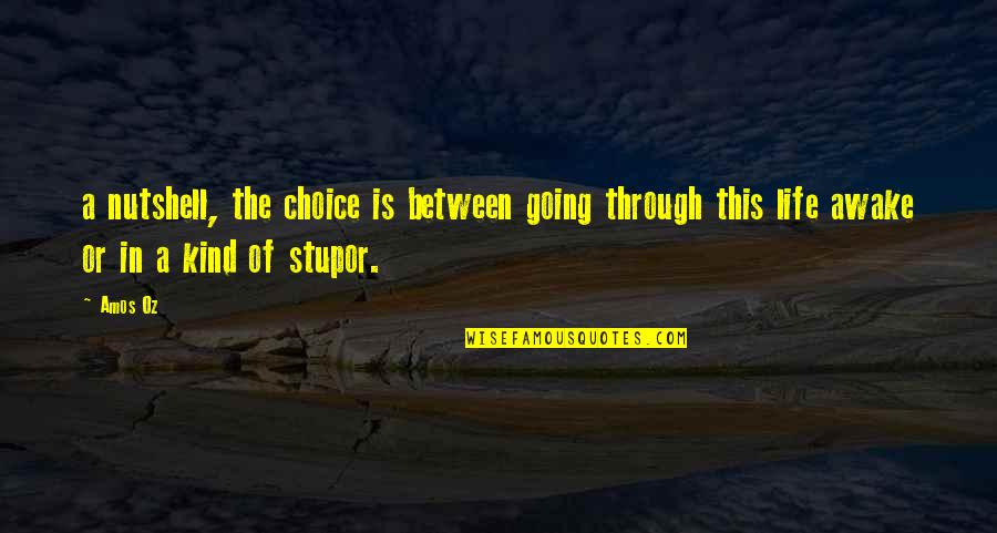 Nutshell Quotes By Amos Oz: a nutshell, the choice is between going through
