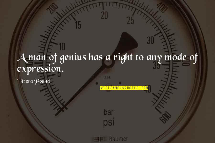 Nutty Professor Grandma Quotes By Ezra Pound: A man of genius has a right to