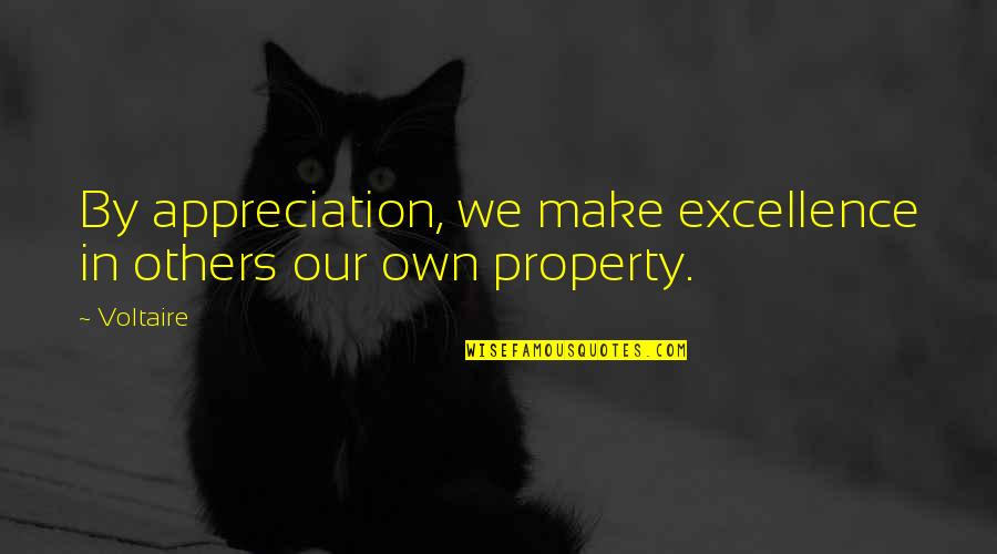 Nvls Stock Quotes By Voltaire: By appreciation, we make excellence in others our