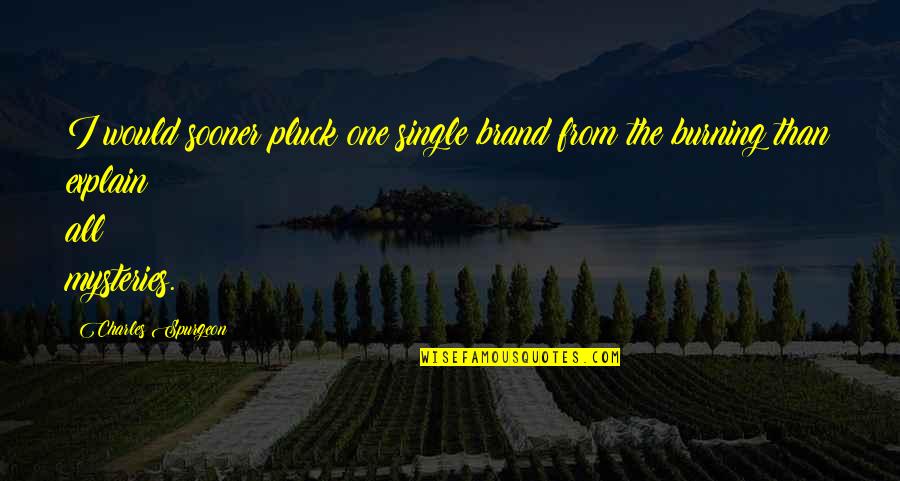 Nweze Nnakwe Quotes By Charles Spurgeon: I would sooner pluck one single brand from Nweze Nnakwe Quotes By Charles Spurgeon: I would sooner pluck one single brand from