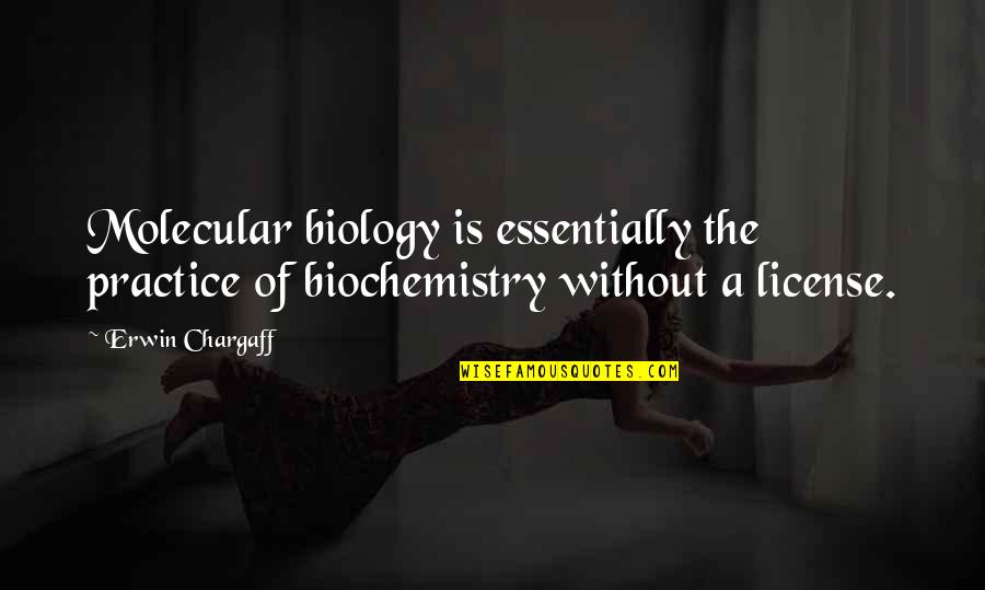 Nwn Deekin Quotes By Erwin Chargaff: Molecular biology is essentially the practice of biochemistry