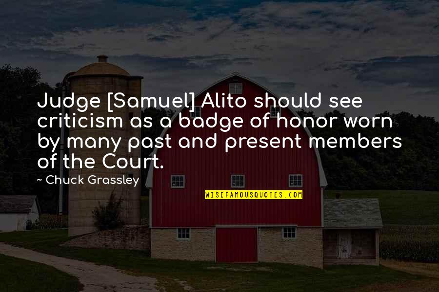 Ny R Di Istv N Quotes By Chuck Grassley: Judge [Samuel] Alito should see criticism as a