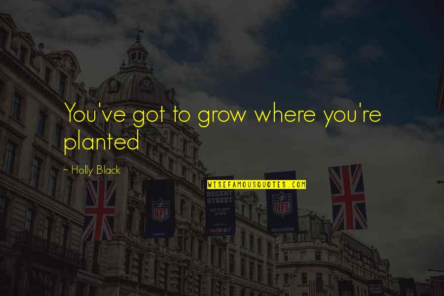 Nyamache Quotes By Holly Black: You've got to grow where you're planted