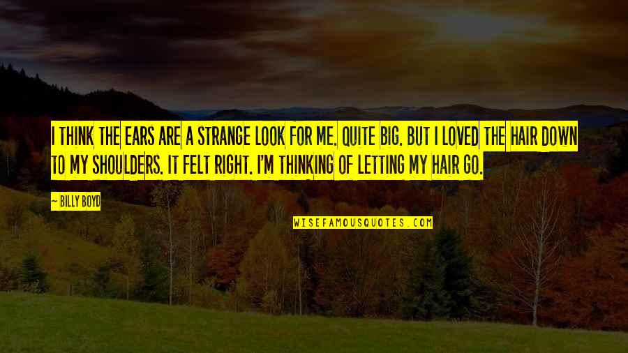 Nydamax Quotes By Billy Boyd: I think the ears are a strange look