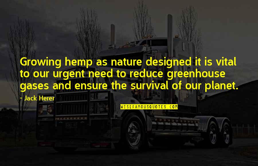 Nykkihertzler Quotes By Jack Herer: Growing hemp as nature designed it is vital