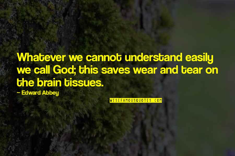 Nykyrian Quotes By Edward Abbey: Whatever we cannot understand easily we call God;