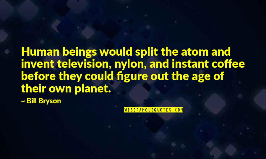 Nylon Quotes By Bill Bryson: Human beings would split the atom and invent