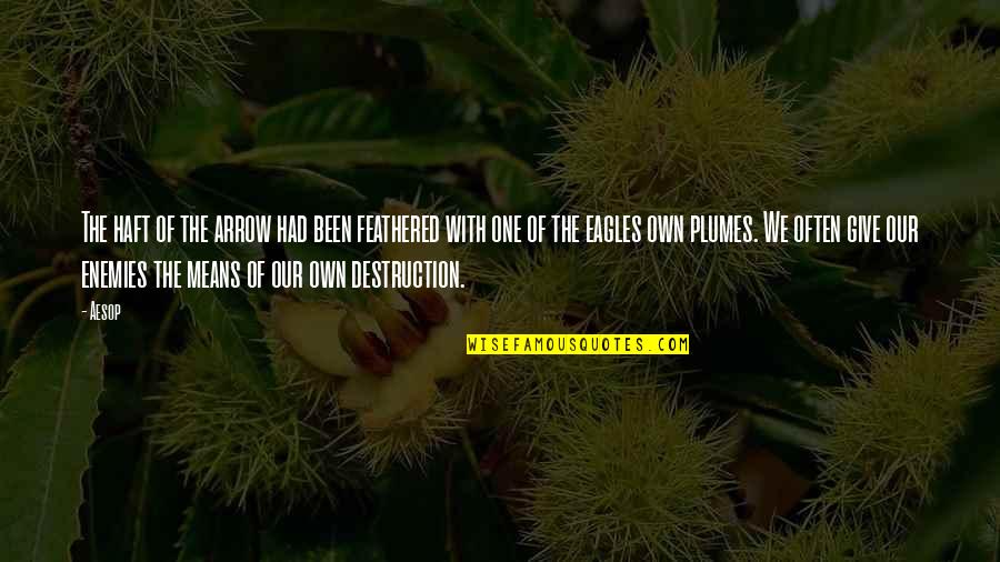 Nymanns Quotes By Aesop: The haft of the arrow had been feathered Nymanns Quotes By Aesop: The haft of the arrow had been feathered