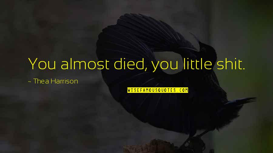Nymeria Quotes By Thea Harrison: You almost died, you little shit.