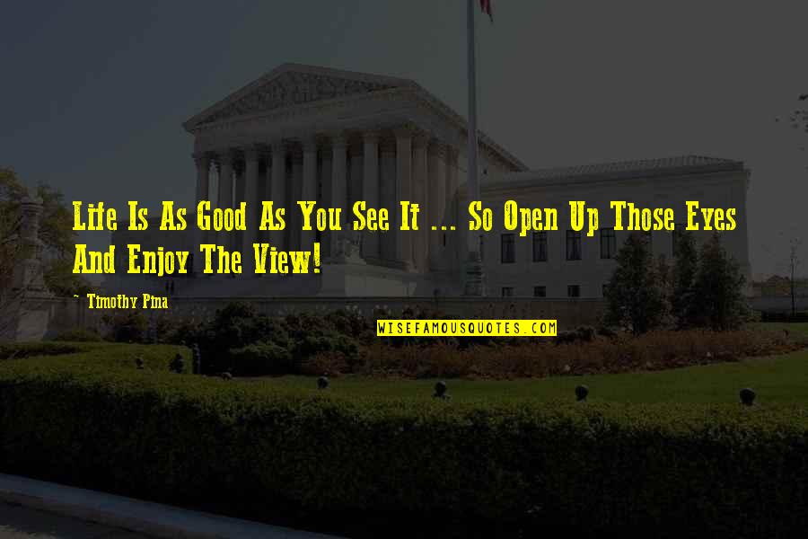 Nystagmus Pronunciation Quotes By Timothy Pina: Life Is As Good As You See It