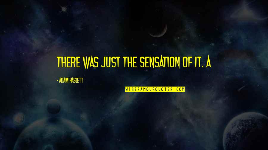 Nytt P Quotes By Adam Haslett: There was just the sensation of it. A Nytt P Quotes By Adam Haslett: There was just the sensation of it. A