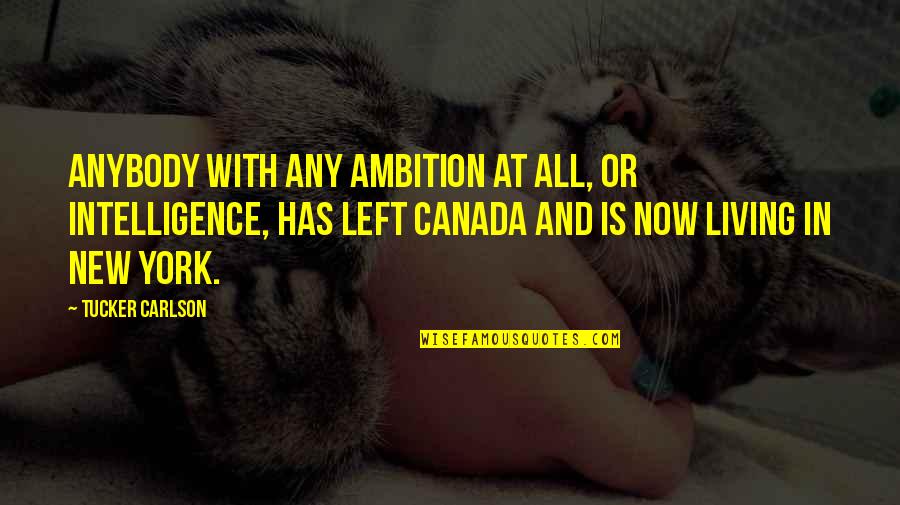 O Canada Quotes By Tucker Carlson: Anybody with any ambition at all, or intelligence,