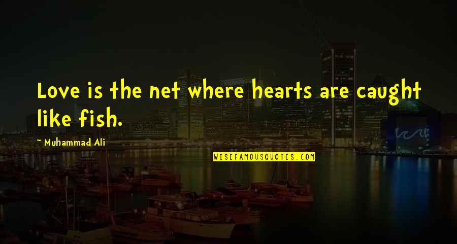 O Net Quotes By Muhammad Ali: Love is the net where hearts are caught