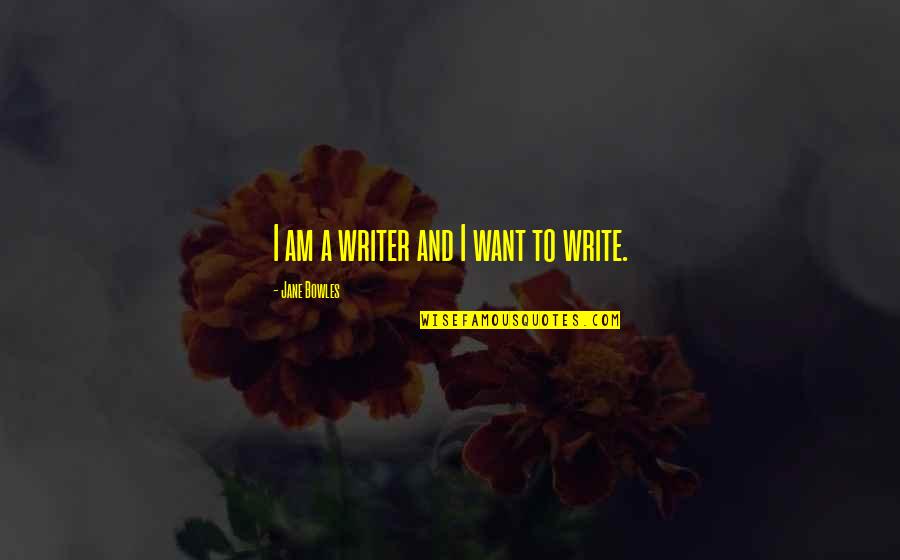 O Silencio Quotes By Jane Bowles: I am a writer and I want to