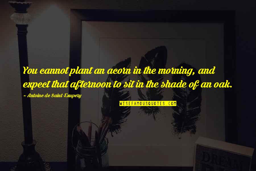 Oak And Acorn Quotes By Antoine De Saint-Exupery: You cannot plant an acorn in the morning, Oak And Acorn Quotes By Antoine De Saint-Exupery: You cannot plant an acorn in the morning,