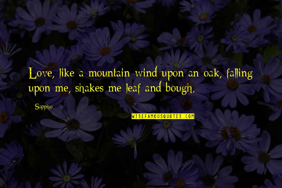 Oak Leaf Quotes By Sappho: Love, like a mountain-wind upon an oak, falling