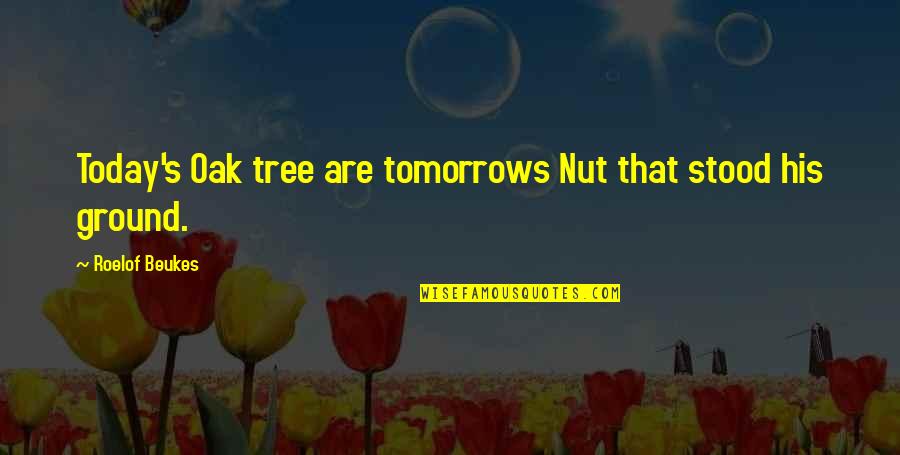Oak Tree Quotes By Roelof Beukes: Today's Oak tree are tomorrows Nut that stood