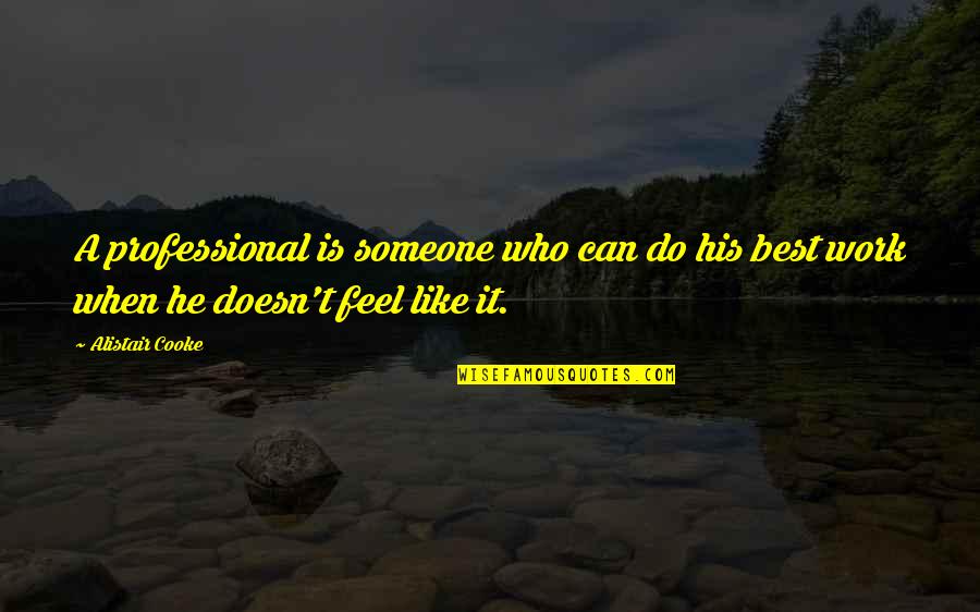 Oake Quotes By Alistair Cooke: A professional is someone who can do his
