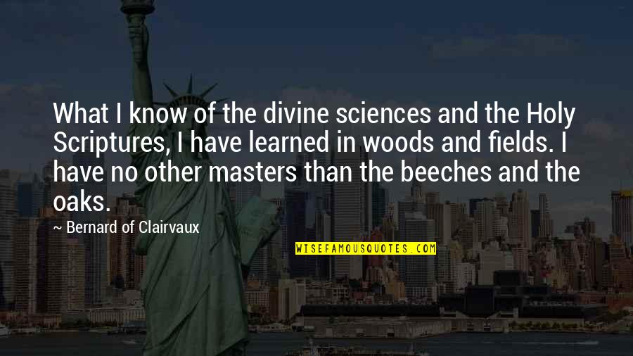 Oaks Quotes By Bernard Of Clairvaux: What I know of the divine sciences and