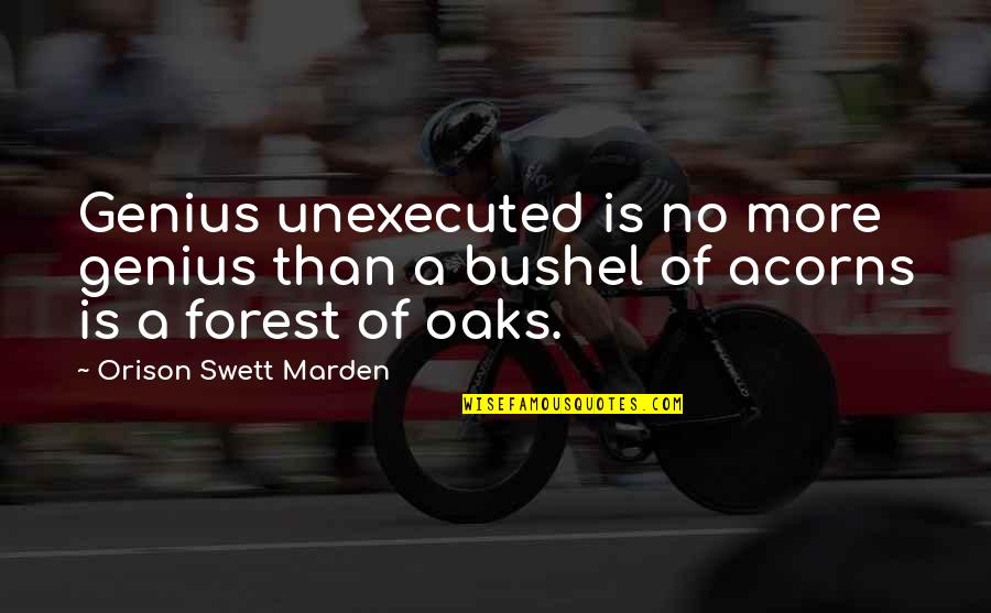 Oaks Quotes By Orison Swett Marden: Genius unexecuted is no more genius than a