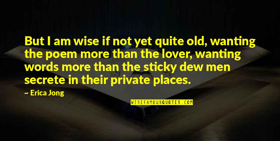Oanh Ung Quotes By Erica Jong: But I am wise if not yet quite