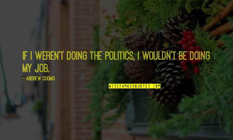 Oarandoakbirdhouse Quotes By Andrew Cuomo: If I weren't doing the politics, I wouldn't Oarandoakbirdhouse Quotes By Andrew Cuomo: If I weren't doing the politics, I wouldn't