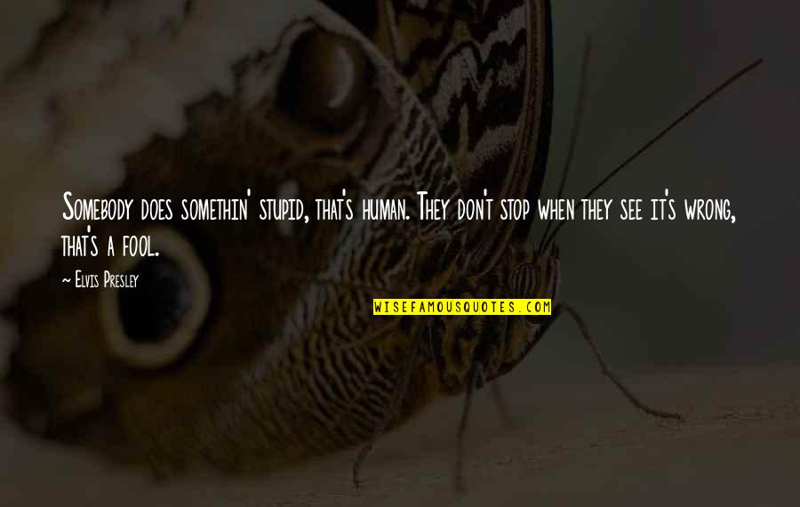 Oarys Quotes By Elvis Presley: Somebody does somethin' stupid, that's human. They don't Oarys Quotes By Elvis Presley: Somebody does somethin' stupid, that's human. They don't