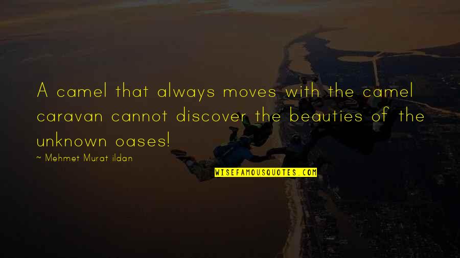 Oases Quotes By Mehmet Murat Ildan: A camel that always moves with the camel