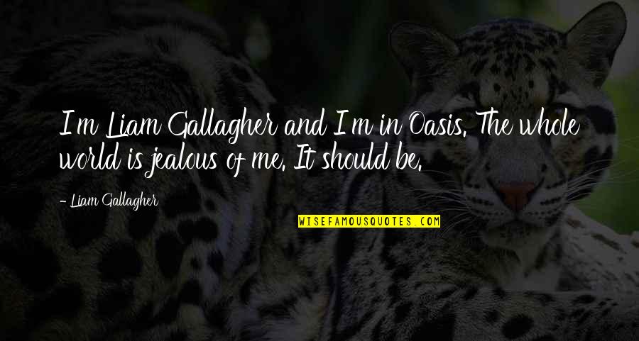 Oasis Quotes By Liam Gallagher: I'm Liam Gallagher and I'm in Oasis. The Oasis Quotes By Liam Gallagher: I'm Liam Gallagher and I'm in Oasis. The