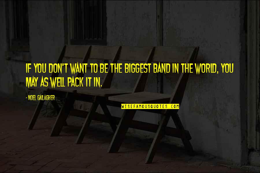 Oasis Quotes By Noel Gallagher: If you don't want to be the biggest