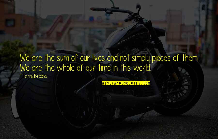 Obama Change Quote Quotes By Terry Brooks: We are the sum of our lives and