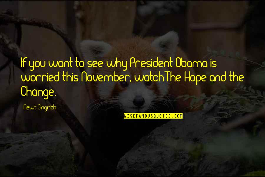 Obama Hope And Change Quotes By Newt Gingrich: If you want to see why President Obama