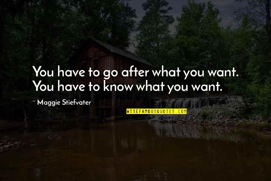 Obama Winning Election Quotes By Maggie Stiefvater: You have to go after what you want.