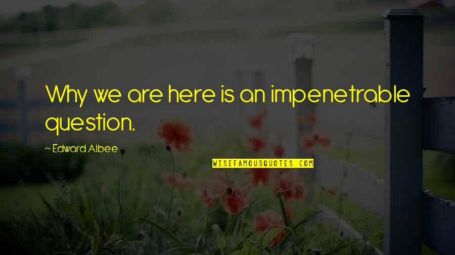 Obedezco Pero Quotes By Edward Albee: Why we are here is an impenetrable question. Obedezco Pero Quotes By Edward Albee: Why we are here is an impenetrable question.