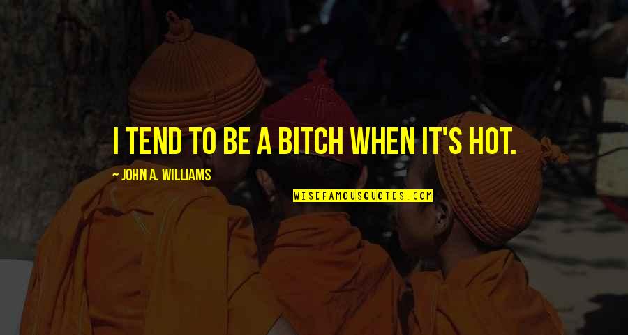 Obejas Para Quotes By John A. Williams: I tend to be a bitch when it's Obejas Para Quotes By John A. Williams: I tend to be a bitch when it's