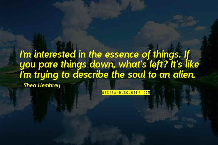 Obejrzysz Quotes By Shea Hembrey: I'm interested in the essence of things. If Obejrzysz Quotes By Shea Hembrey: I'm interested in the essence of things. If