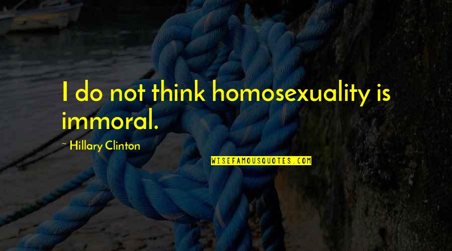 Obey Me Levi Quotes By Hillary Clinton: I do not think homosexuality is immoral.