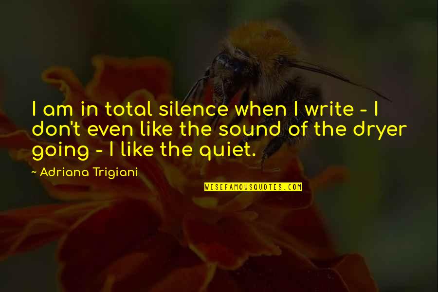 Obeyesekere Gananath Quotes By Adriana Trigiani: I am in total silence when I write