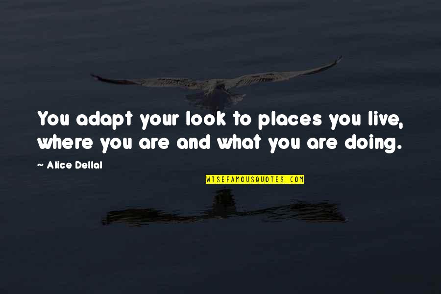 Obino Lojas Quotes By Alice Dellal: You adapt your look to places you live,