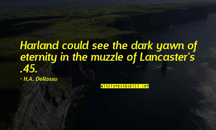Obino Lojas Quotes By H.A. DeRosso: Harland could see the dark yawn of eternity