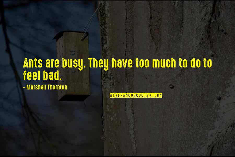 Obiri Track Quotes By Marshall Thornton: Ants are busy. They have too much to