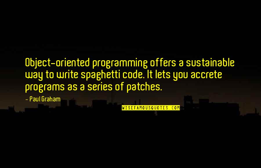 Object Oriented Programming Quotes By Paul Graham: Object-oriented programming offers a sustainable way to write