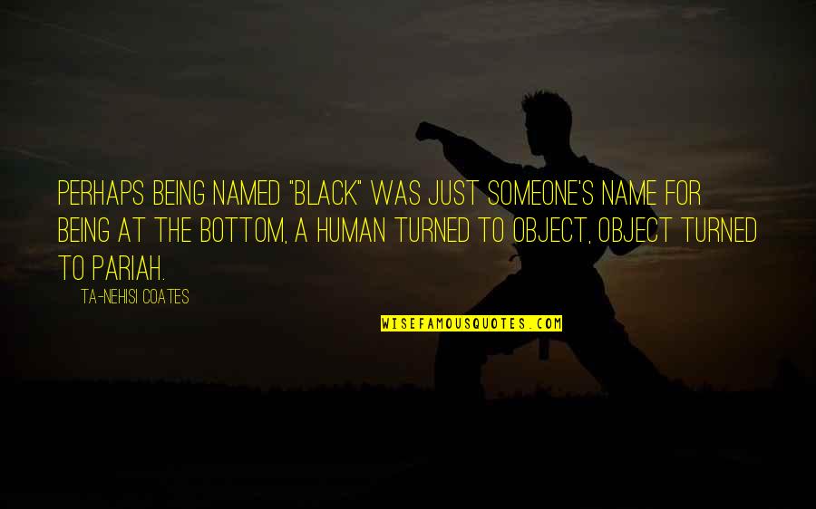 Object Was Quotes By Ta-Nehisi Coates: Perhaps being named "black" was just someone's name