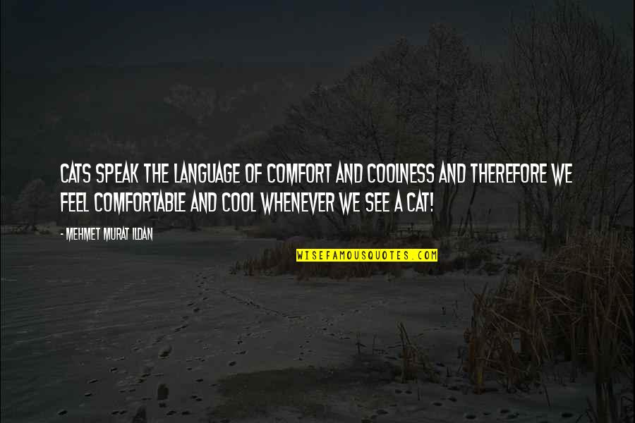 Objectionableness Quotes By Mehmet Murat Ildan: Cats speak the language of comfort and coolness