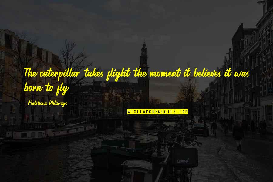 Objects With Meaning Quotes By Matshona Dhliwayo: The caterpillar takes flight the moment it believes