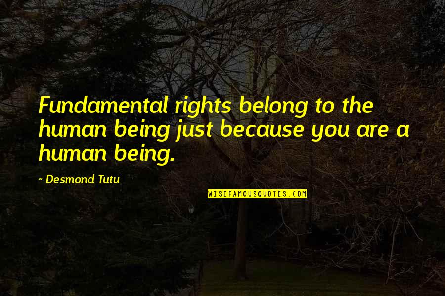 Objektivat Quotes By Desmond Tutu: Fundamental rights belong to the human being just